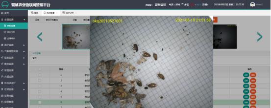 轉(zhuǎn)盤式蟲(chóng)情測(cè)報(bào)燈